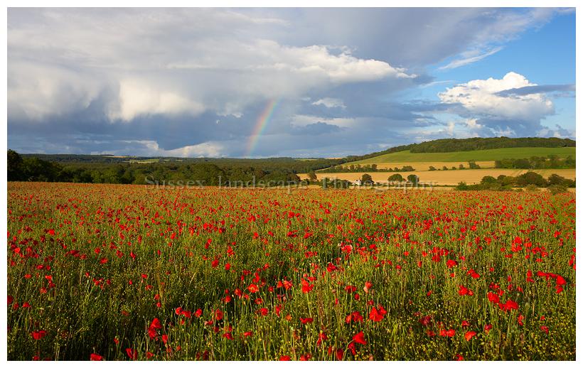 slides/Rainbow.jpg south downs national park,summer,poppies,clouds,rainbow,beautiful,relaxing,sunset,simon parsons Rainbow